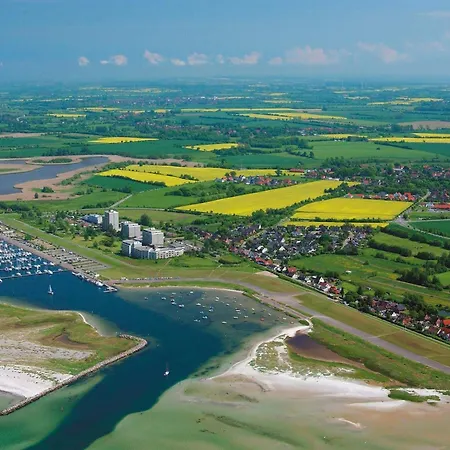 Daire 12 Person In *